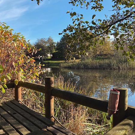 Hazel Oaks, Beautiful Lodge With Hot Tub - Sleeps 6 - Felmoor Park Морпет Екстериор снимка