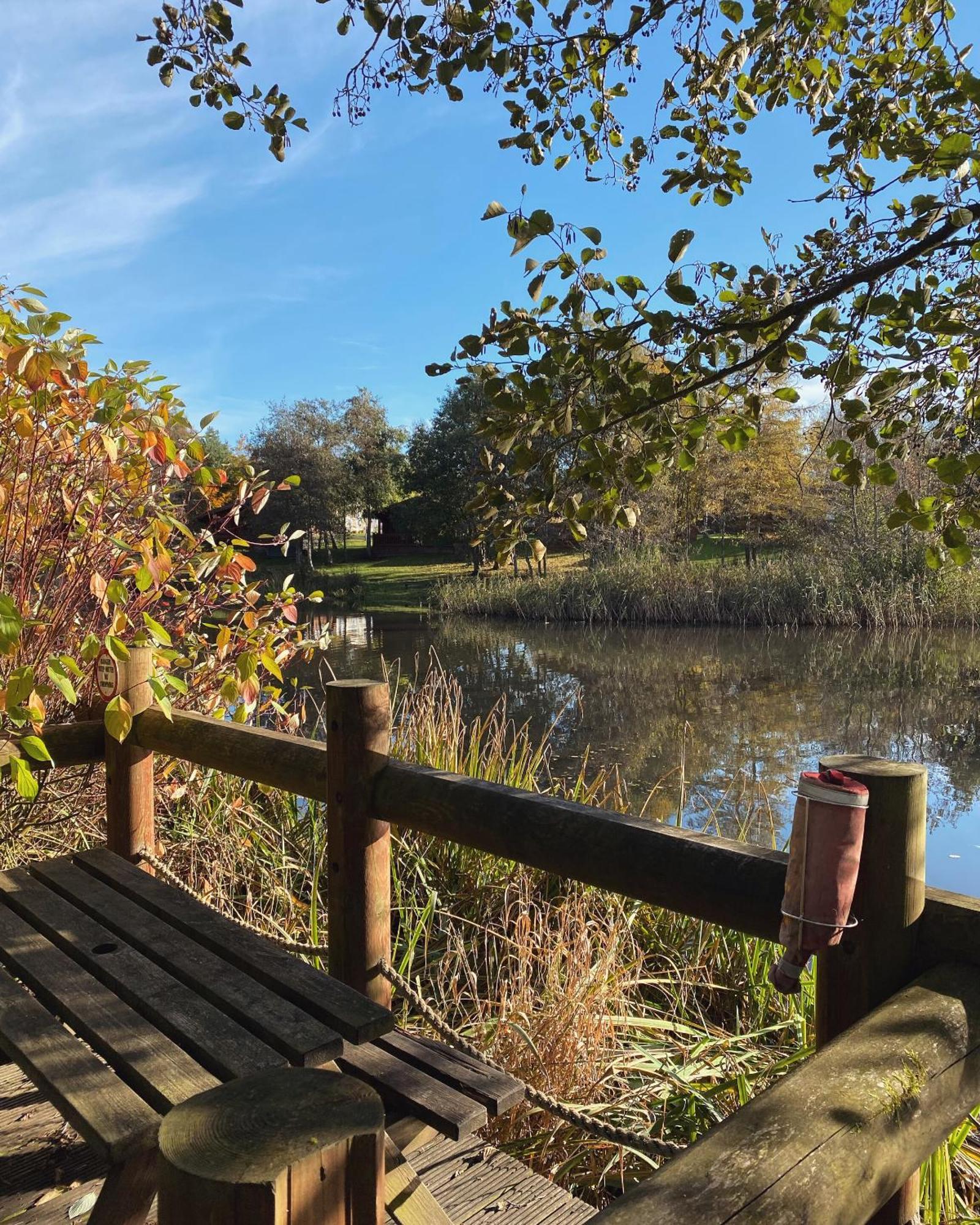 Hazel Oaks, Beautiful Lodge With Hot Tub - Sleeps 6 - Felmoor Park Морпет Екстериор снимка